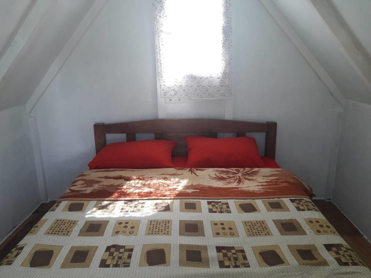 Suri Guest House Plužine Ngoại thất bức ảnh